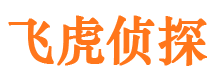 宜秀外遇调查取证